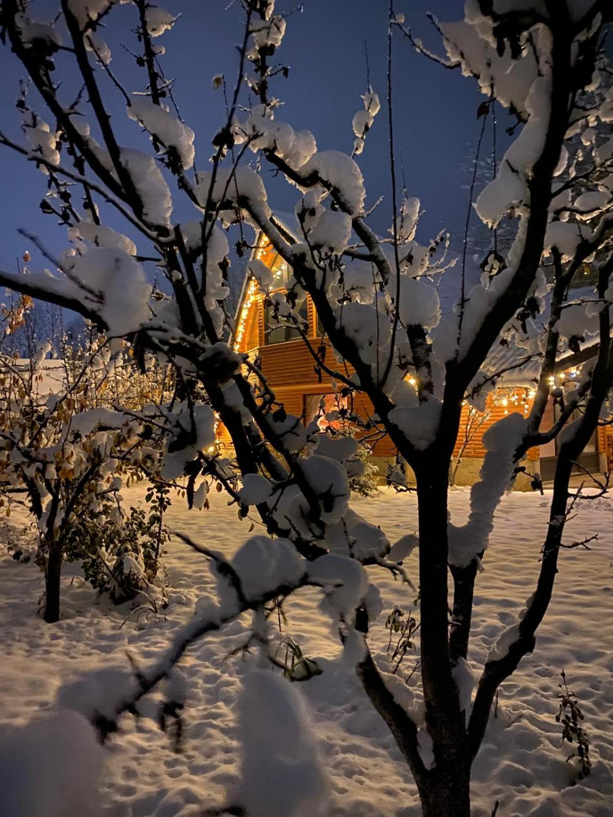 Moonlake Chalet Gainesti Kültér fotó