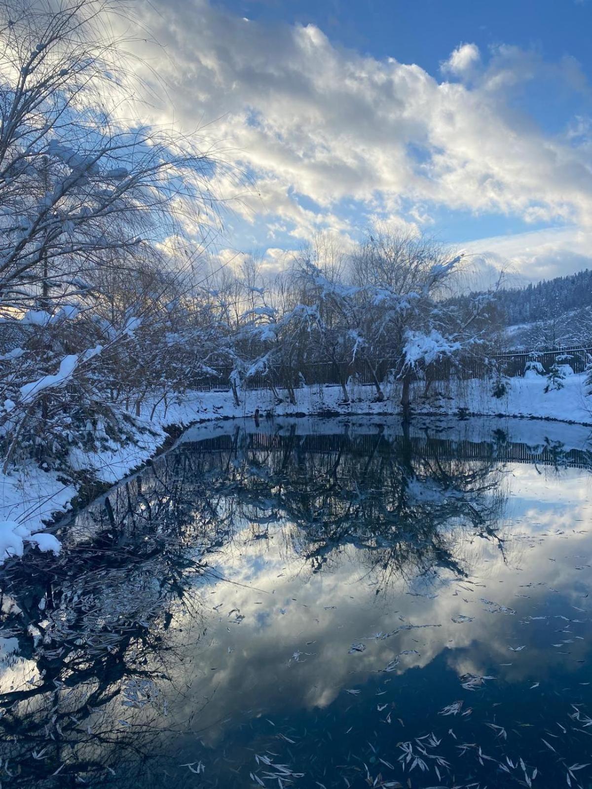 Moonlake Chalet Gainesti Kültér fotó